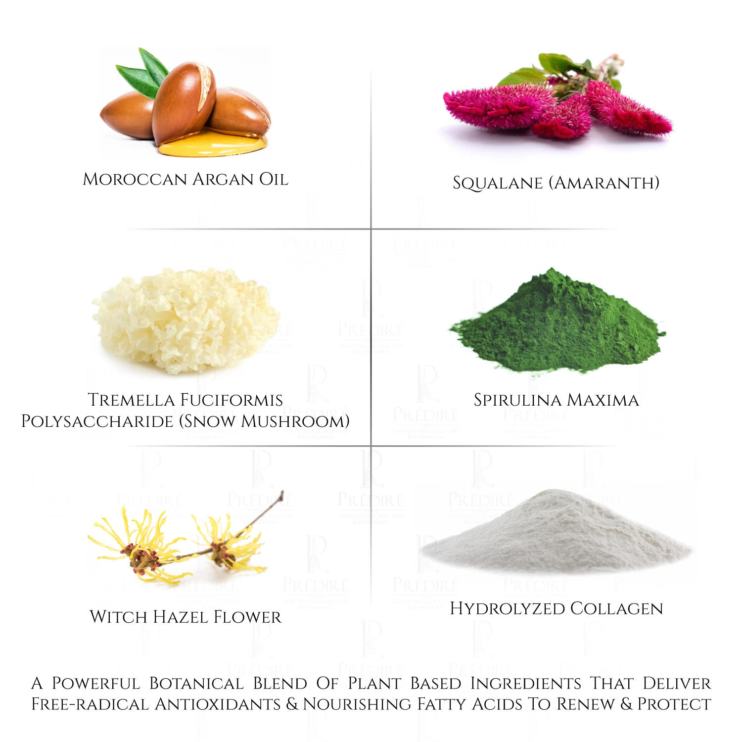 Age-Defying Cell Renewal Finishing Cream Powered By Apple & Grape Stem Cell Technology 9 Age-Defying Cell Renewal Finishing Cream Powered By Apple & Grape Stem Cell Technology - Image 9