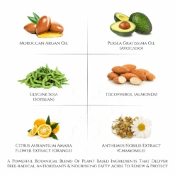 Everyday Care Balancing Facial Complex Cream (Vitamin E & A Booster) -Creed Cheap Shop PG003 ProductImages WATERMARK 09