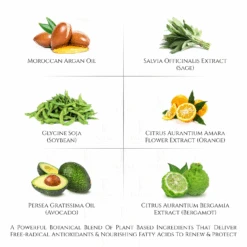 Everyday Care Balancing Facial Complex Cream For Normal To Dry Skin 17 Everyday Care Balancing Facial Complex Cream For Normal To Dry Skin -Creed Cheap Shop PG004 ProductImages WATERMARK 09