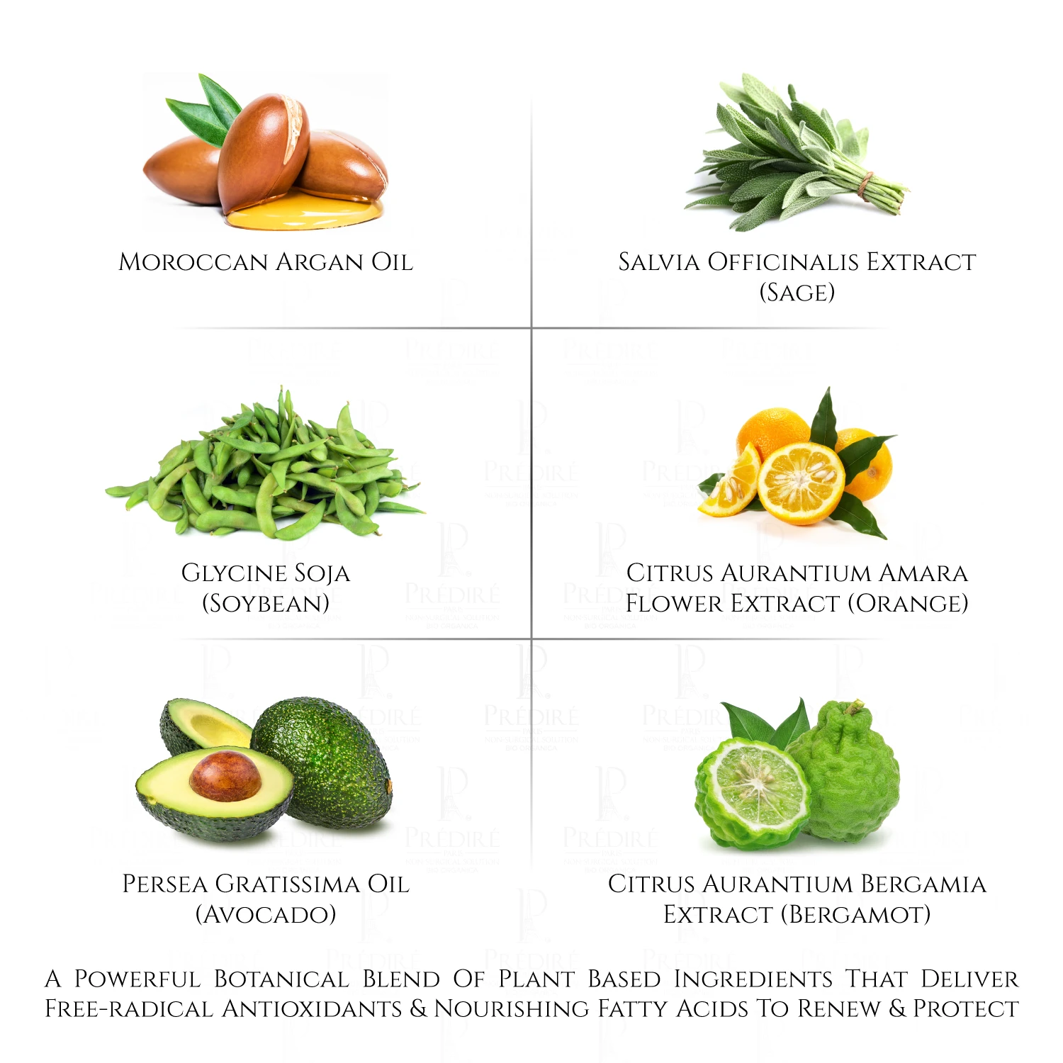 Everyday Care Balancing Facial Complex Cream For Normal To Dry Skin 9 Everyday Care Balancing Facial Complex Cream For Normal To Dry Skin - Image 9