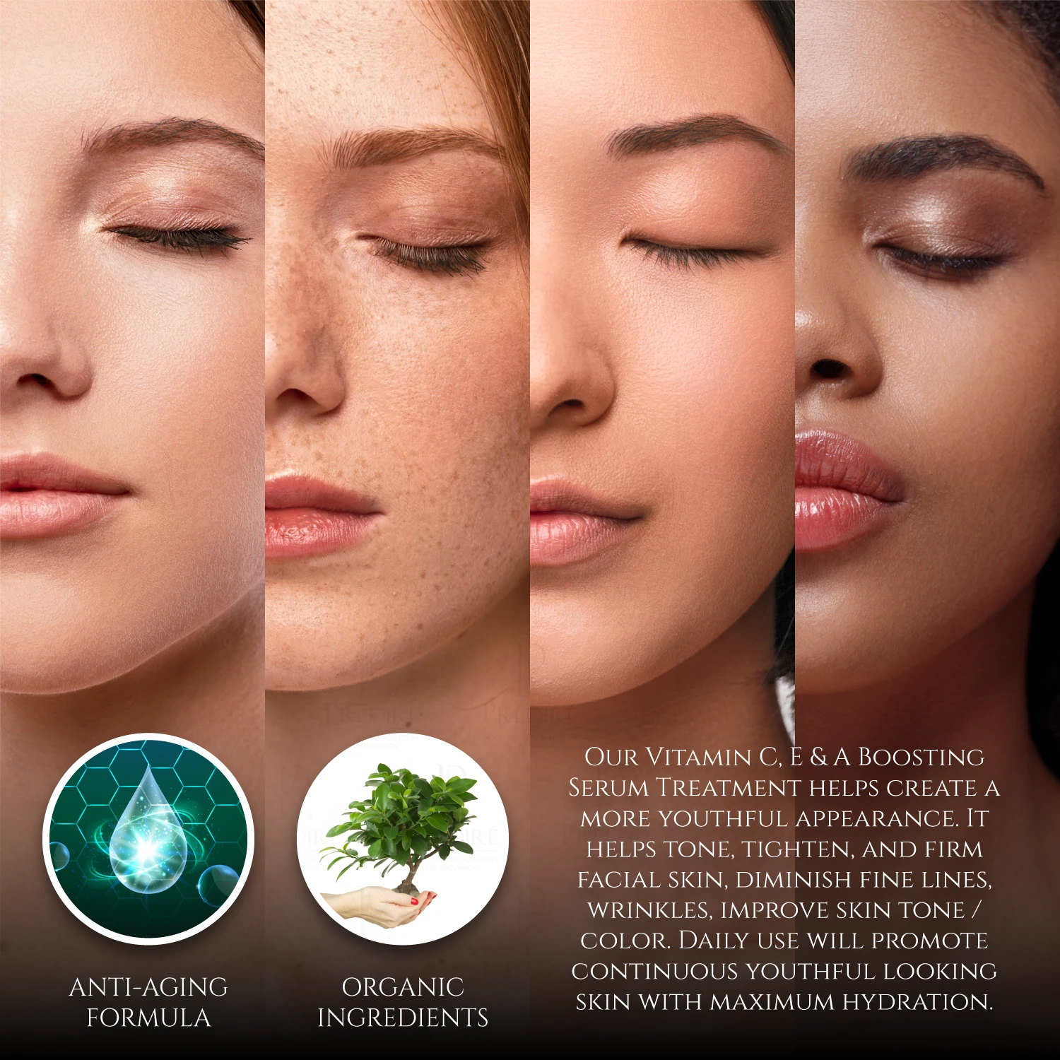 Snail Age-Defying Collection | Concentrate, Serum, Gel, Renewal, Mask, & Toner| Limited Edition 6 Snail Age-Defying Collection | Concentrate, Serum, Gel, Renewal, Mask, & Toner| Limited Edition - Image 6