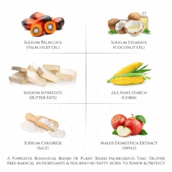 Natural Beauty Concentrate Soap | Extreme Hygiene Anti-Bacterial Soap -Creed Cheap Shop PSB004 ProductImages WATERMARK 09